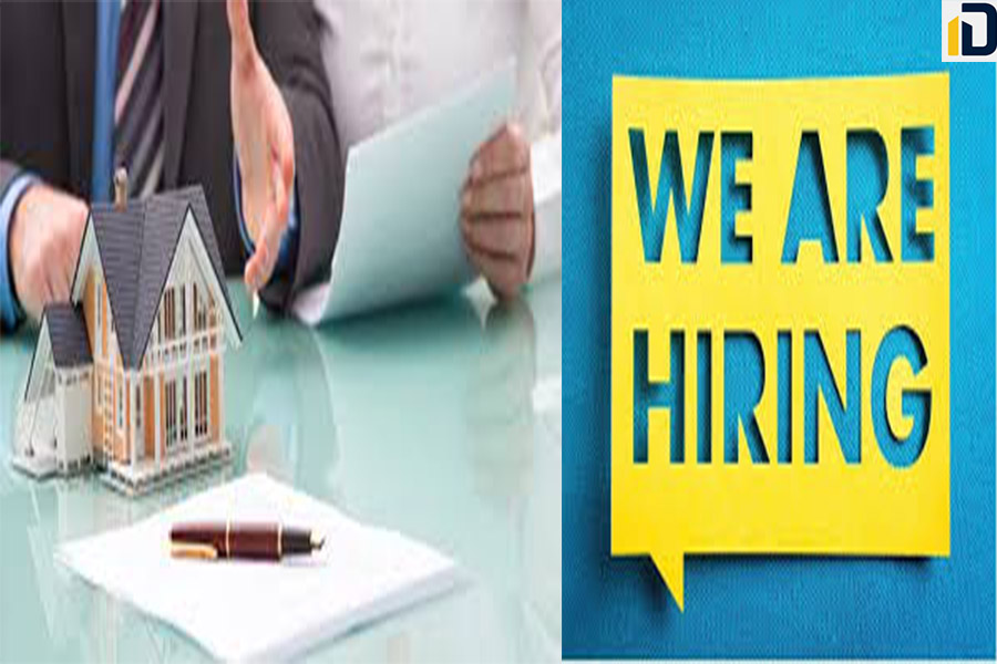 real estate jobs in egypt